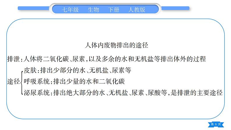 人教版七年级生物下第四单元第5章人体内废物的排出第四、五章归纳与提升习题课件第6页