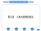 人教版七年级生物下第四单元第5章人体内废物的排出人体内废物的排出习题课件