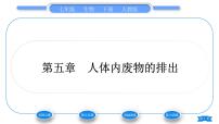 人教版 (新课标)七年级下册第五章 人体内废物的排出习题ppt课件