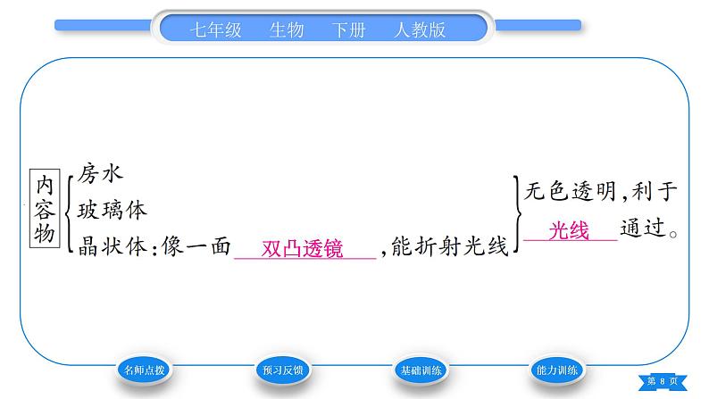 人教版七年级生物下第四单元第6章人体生命活动的调节第1节人体对外界环境的感知第1课时眼和视觉近视及其预防习题课件08