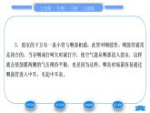 人教版七年级生物下第四单元第6章人体生命活动的调节第1节人体对外界环境的感知第2课时耳和听觉其他感觉器官习题课件