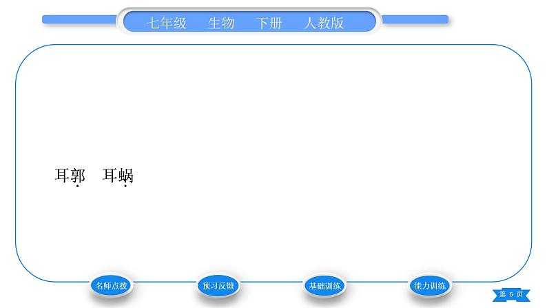 人教版七年级生物下第四单元第6章人体生命活动的调节第1节人体对外界环境的感知第2课时耳和听觉其他感觉器官习题课件第6页