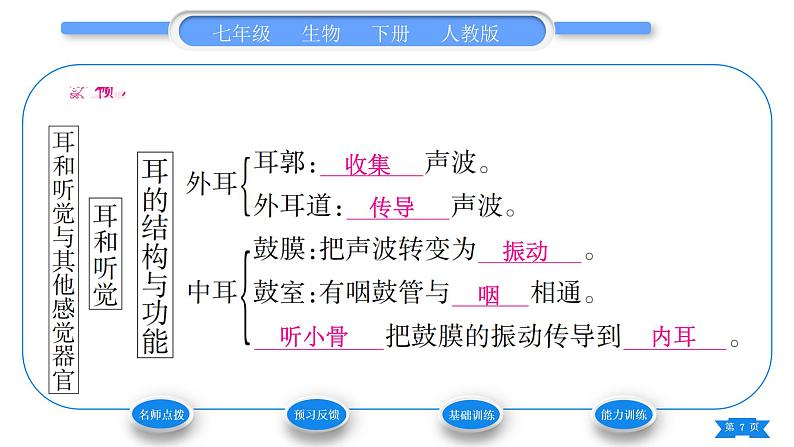 人教版七年级生物下第四单元第6章人体生命活动的调节第1节人体对外界环境的感知第2课时耳和听觉其他感觉器官习题课件第7页