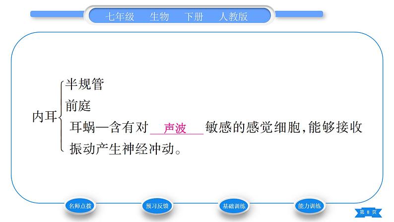 人教版七年级生物下第四单元第6章人体生命活动的调节第1节人体对外界环境的感知第2课时耳和听觉其他感觉器官习题课件第8页