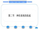 人教版七年级生物下第四单元第6章人体生命活动的调节第2节神经系统的组成习题课件