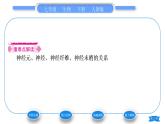 人教版七年级生物下第四单元第6章人体生命活动的调节第2节神经系统的组成习题课件