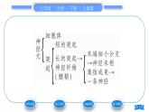 人教版七年级生物下第四单元第6章人体生命活动的调节第2节神经系统的组成习题课件