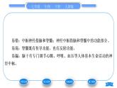 人教版七年级生物下第四单元第6章人体生命活动的调节第2节神经系统的组成习题课件