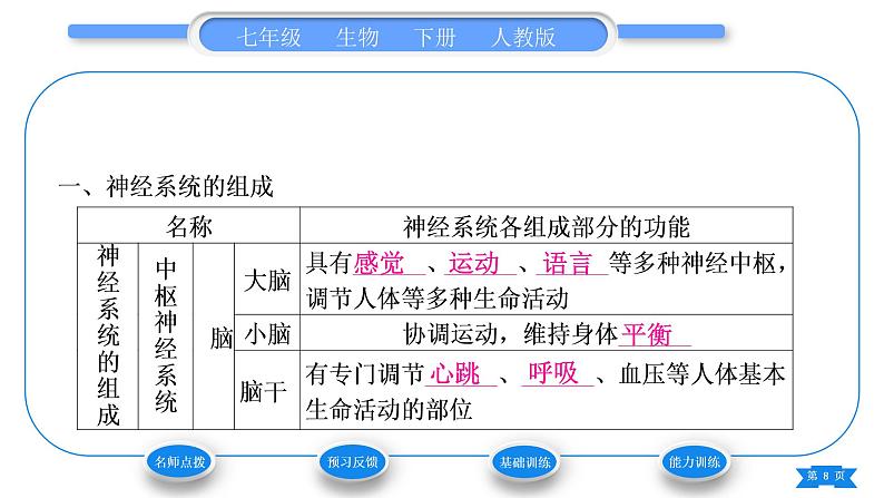 人教版七年级生物下第四单元第6章人体生命活动的调节第2节神经系统的组成习题课件第8页