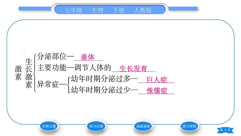 人教版七年级生物下第四单元第6章人体生命活动的调节第4节激素调节习题课件第7页