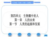 人教版七年级生物下第四单元第1章人的由来第1节人类的起源和发展习题课件