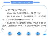 人教版七年级生物下第四单元第1章人的由来第1节人类的起源和发展习题课件