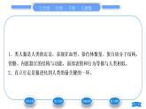 人教版七年级生物下第四单元第1章人的由来第1节人类的起源和发展习题课件