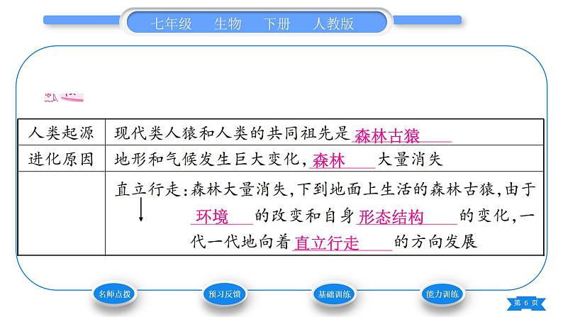 人教版七年级生物下第四单元第1章人的由来第1节人类的起源和发展习题课件06