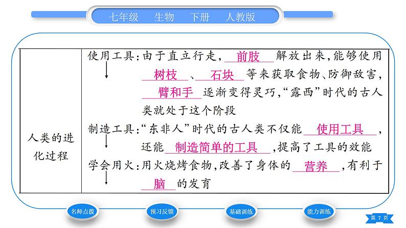 人教版七年级生物下第四单元第1章人的由来第1节人类的起源和发展习题课件07