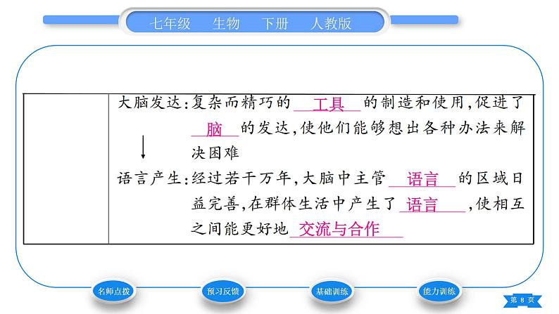 人教版七年级生物下第四单元第1章人的由来第1节人类的起源和发展习题课件08