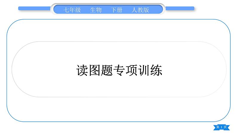 人教版七年级生物下读图题专项训练习题课件01