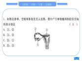 人教版七年级生物下读图题专项训练习题课件