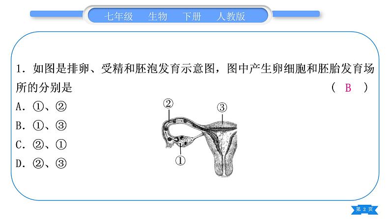 人教版七年级生物下读图题专项训练习题课件02