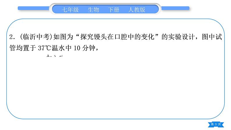 人教版七年级生物下读图题专项训练习题课件03