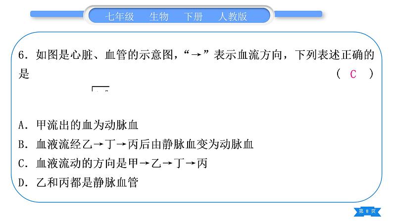 人教版七年级生物下读图题专项训练习题课件08