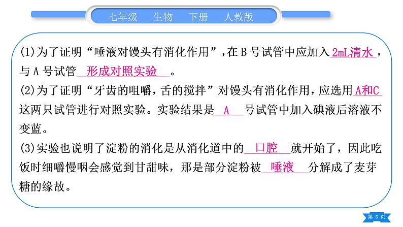 人教版七年级生物下实验探究题专项训练习题课件05