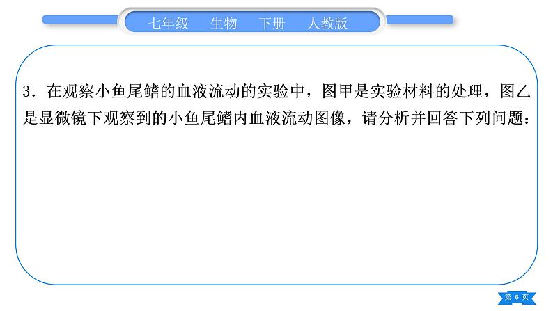 人教版七年级生物下实验探究题专项训练习题课件06