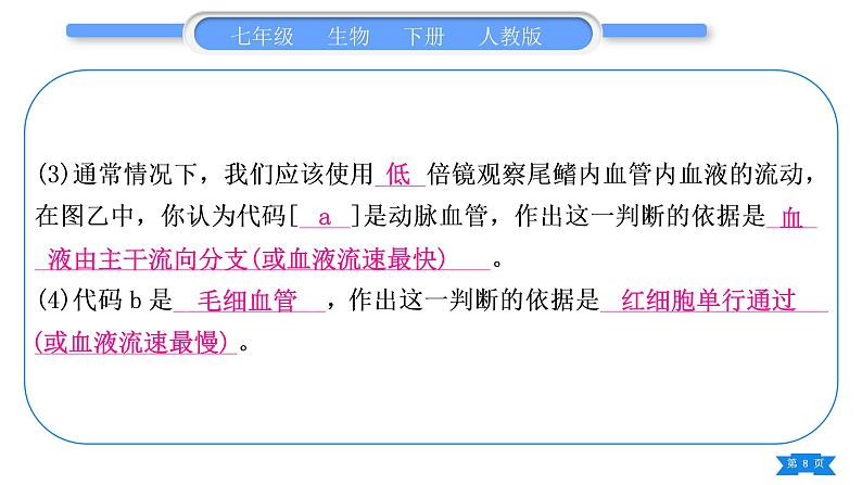 人教版七年级生物下实验探究题专项训练习题课件08