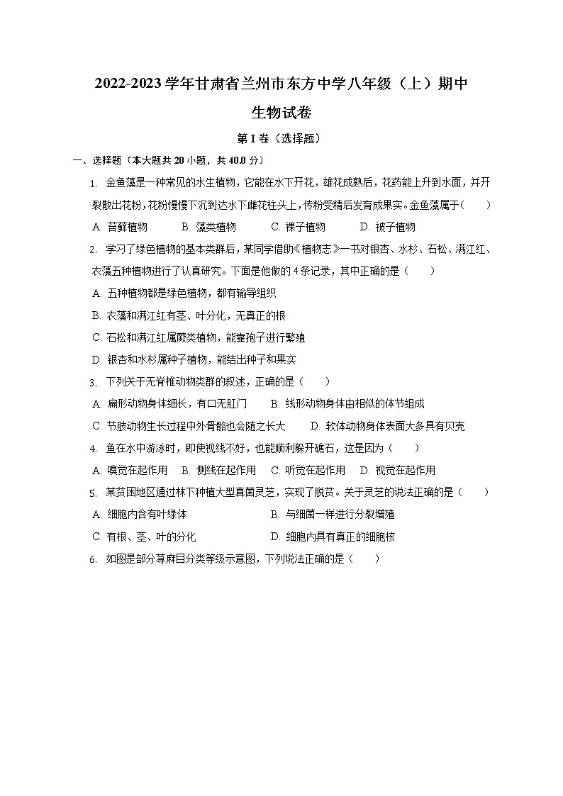 甘肃省兰州市东方中学2022-2023学年八年级上学期期中生物试卷(含答案)01
