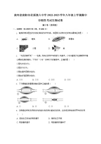 贵州省贵阳市花溪第六中学2022-2023学年八年级上学期期中诊断性考试生物试卷(含答案)