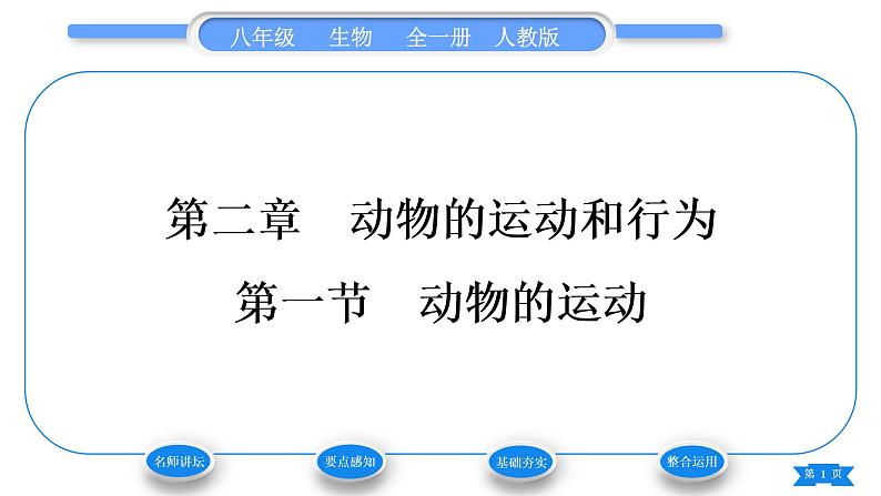 人教版八年级生物上第五单元生物圈中的其他生物第二章动物的运动和行为第一节动物的运动习题课件01