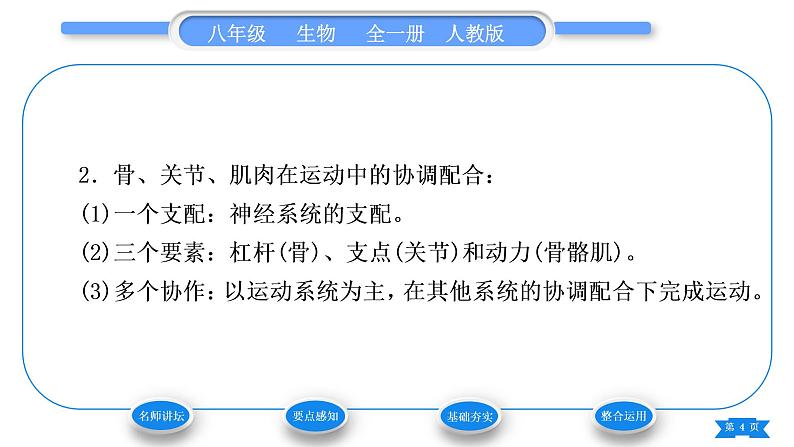 人教版八年级生物上第五单元生物圈中的其他生物第二章动物的运动和行为第一节动物的运动习题课件04