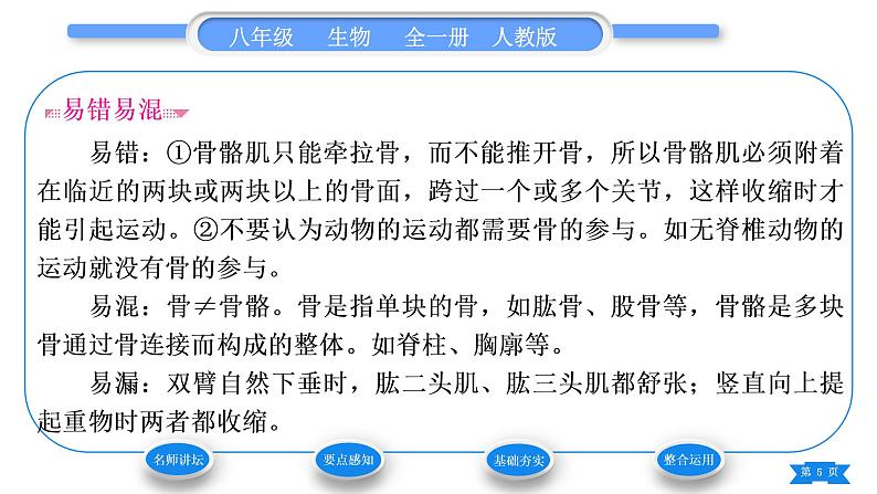 人教版八年级生物上第五单元生物圈中的其他生物第二章动物的运动和行为第一节动物的运动习题课件05