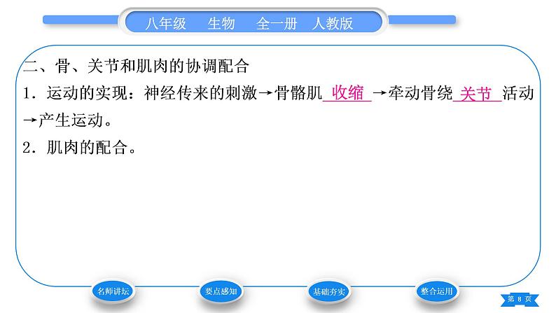 人教版八年级生物上第五单元生物圈中的其他生物第二章动物的运动和行为第一节动物的运动习题课件08