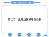 人教版八年级生物上第五单元生物圈中的其他生物第一章动物的主要类群第二节线形动物和环节动物习题课件