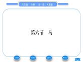 人教版八年级生物上第五单元生物圈中的其他生物第一章动物的主要类群第六节鸟习题课件
