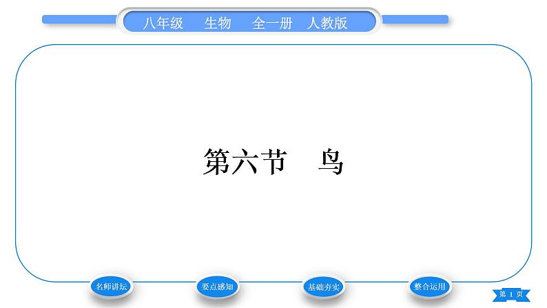 人教版八年级生物上第五单元生物圈中的其他生物第一章动物的主要类群第六节鸟习题课件01