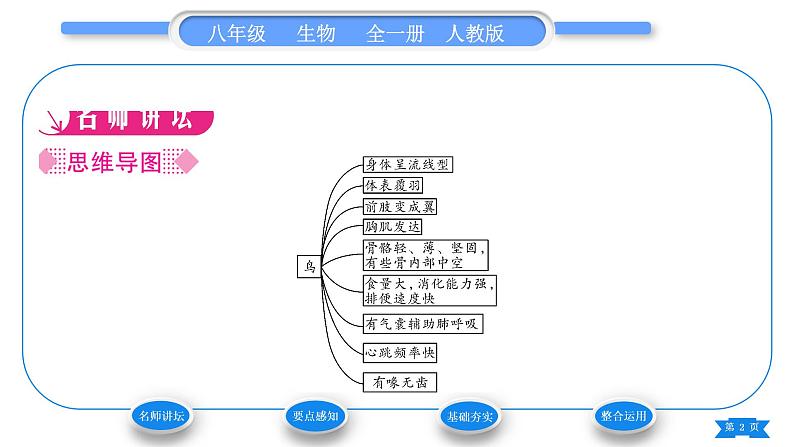 人教版八年级生物上第五单元生物圈中的其他生物第一章动物的主要类群第六节鸟习题课件02