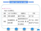 人教版八年级生物上第五单元生物圈中的其他生物第一章动物的主要类群第六节鸟习题课件