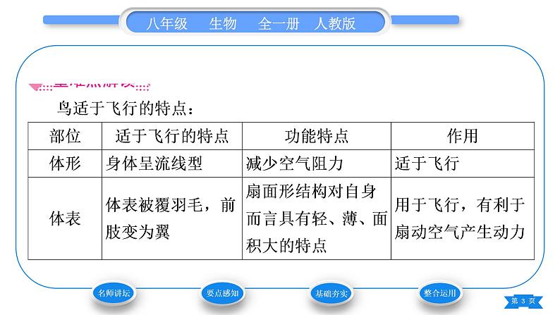 人教版八年级生物上第五单元生物圈中的其他生物第一章动物的主要类群第六节鸟习题课件03