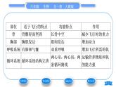 人教版八年级生物上第五单元生物圈中的其他生物第一章动物的主要类群第六节鸟习题课件