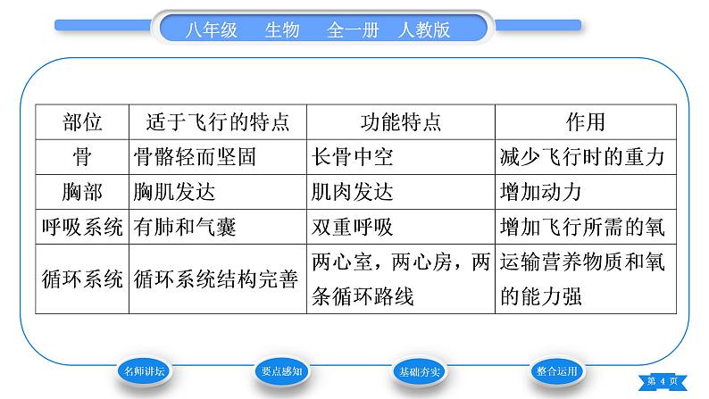 人教版八年级生物上第五单元生物圈中的其他生物第一章动物的主要类群第六节鸟习题课件04