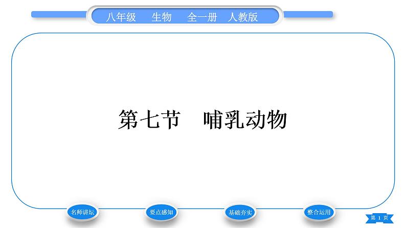 人教版八年级生物上第五单元生物圈中的其他生物第一章动物的主要类群第七节哺乳动物习题课件第1页