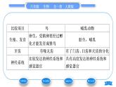 人教版八年级生物上第五单元生物圈中的其他生物第一章动物的主要类群第七节哺乳动物习题课件