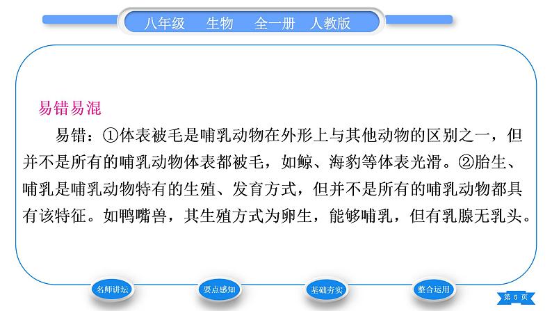 人教版八年级生物上第五单元生物圈中的其他生物第一章动物的主要类群第七节哺乳动物习题课件第5页