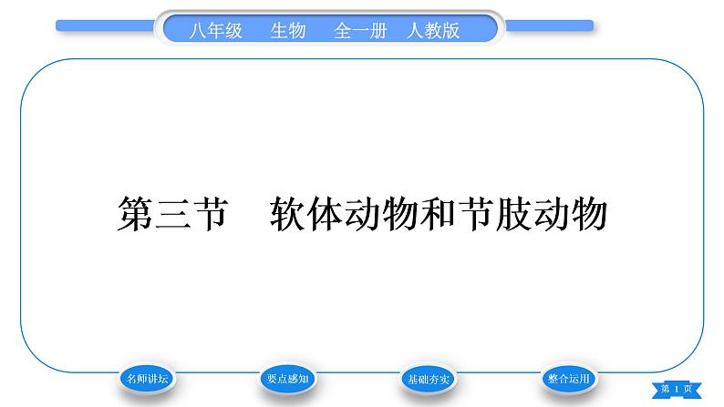 人教版八年级生物上第五单元生物圈中的其他生物第一章动物的主要类群第三节软体动物和节肢动物习题课件第1页