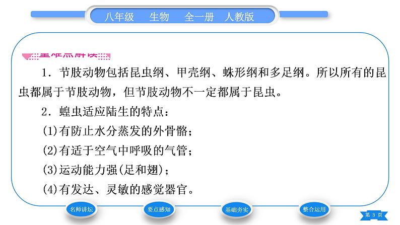 人教版八年级生物上第五单元生物圈中的其他生物第一章动物的主要类群第三节软体动物和节肢动物习题课件第3页