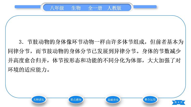 人教版八年级生物上第五单元生物圈中的其他生物第一章动物的主要类群第三节软体动物和节肢动物习题课件第4页