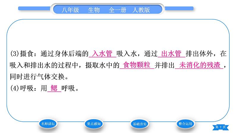 人教版八年级生物上第五单元生物圈中的其他生物第一章动物的主要类群第三节软体动物和节肢动物习题课件第7页