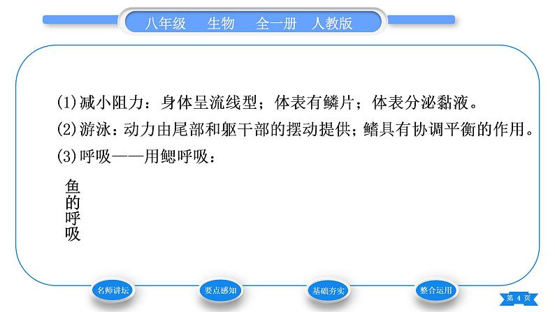 人教版八年级生物上第五单元生物圈中的其他生物第一章动物的主要类群第四节鱼习题课件04